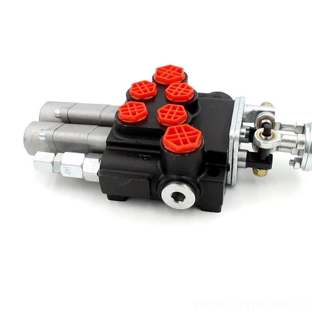 Dsg Solenoid Hydraulic Vlve 2 Spool Monoblock Directional Valve - P40 Series | OEM & Wholesale image